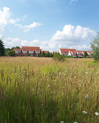 Baugrundstücke in Gransee